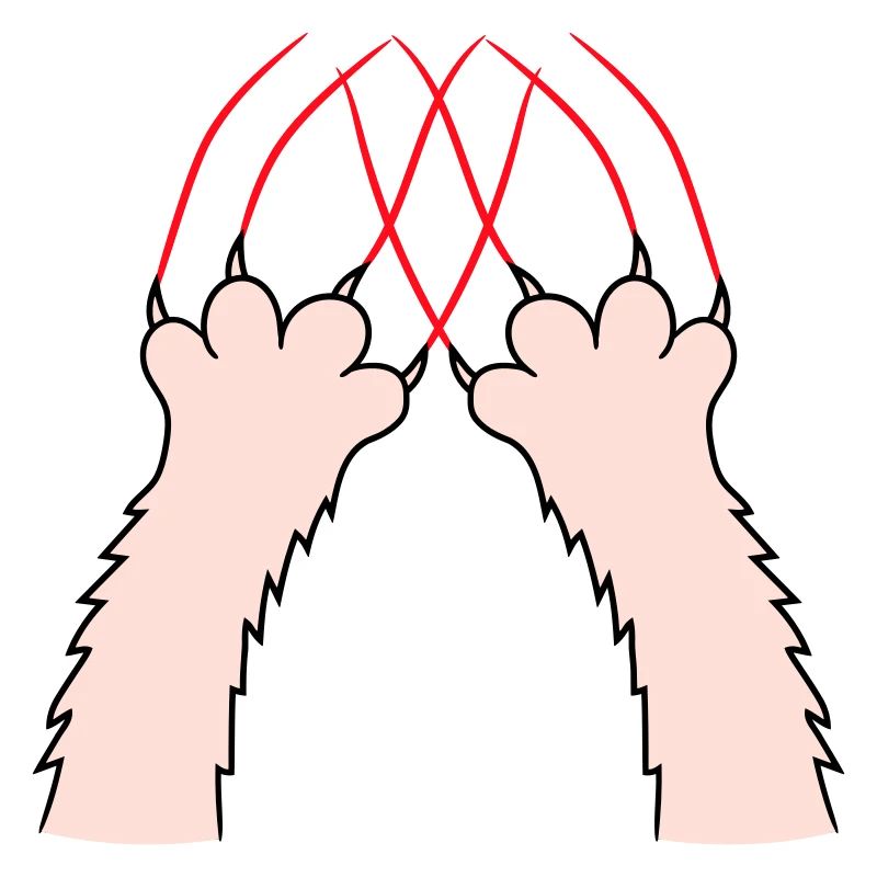 Cats, Claws, Paws, Paws, Claws, Scratches, Stripes