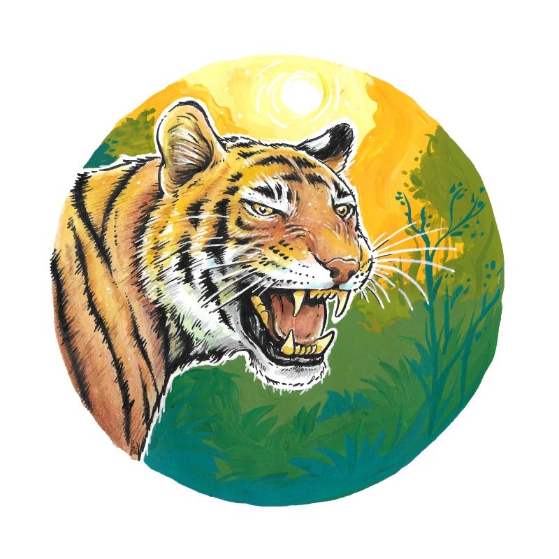 Tiger