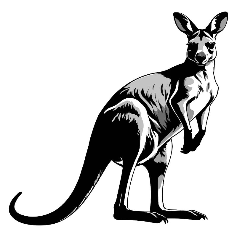Kangaroo - Cute Australian Pet Design