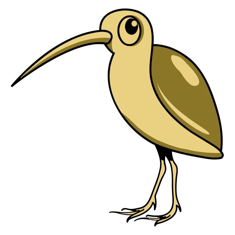 Schnepfe Vogel Tier witzig süss Design