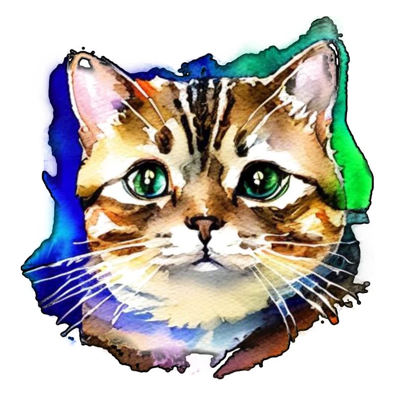 Katzengesicht 3