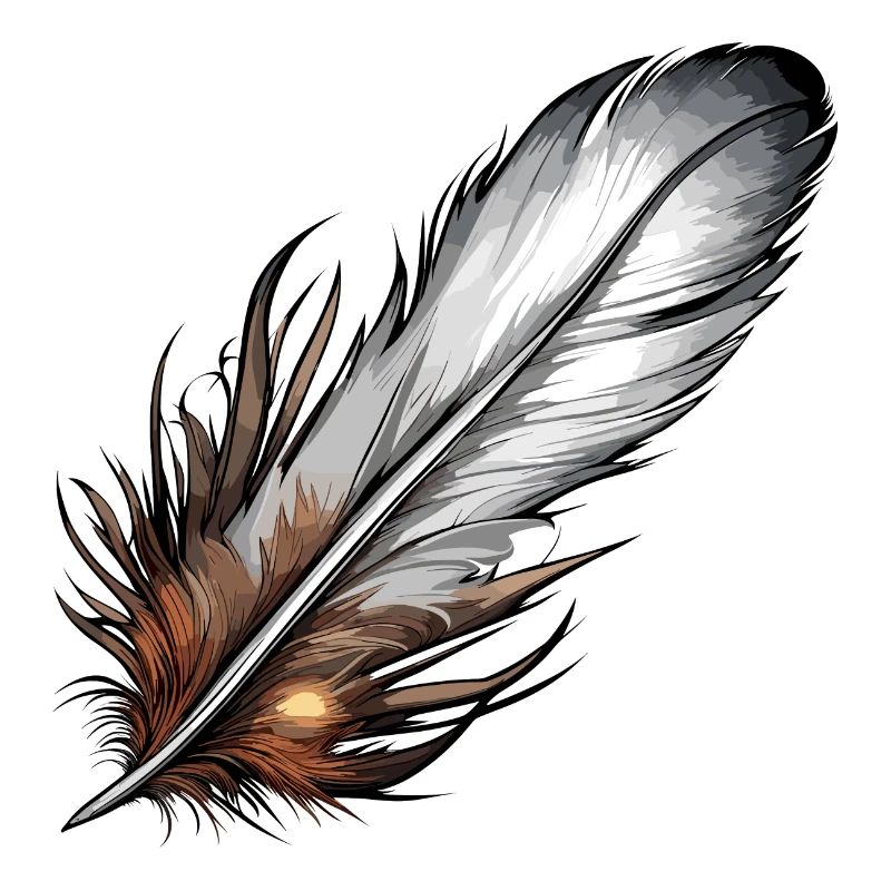 Feather / Quill / Bird Feather / Down Feather