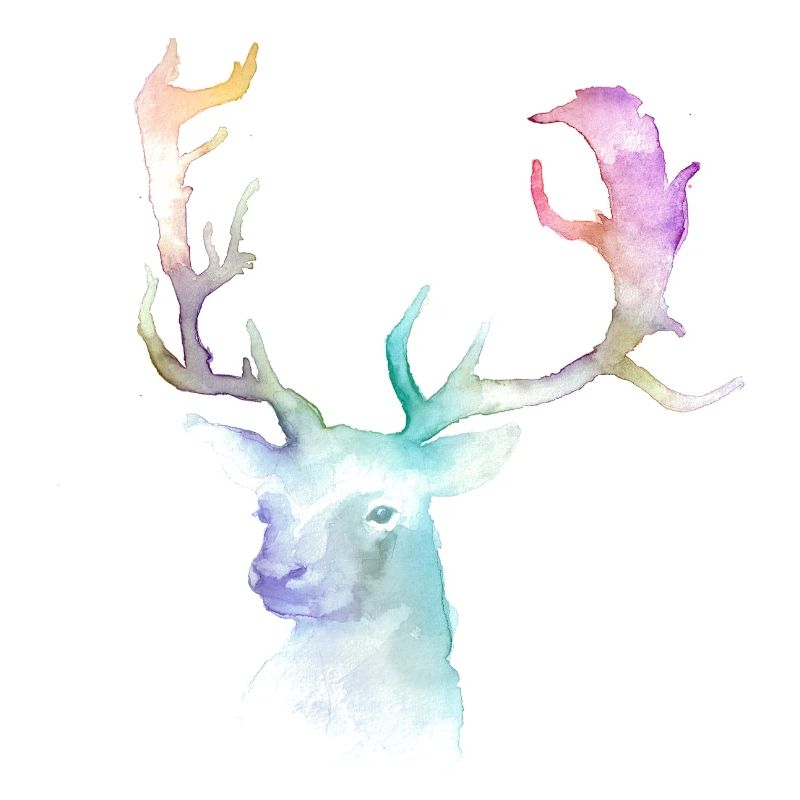 Hirsch