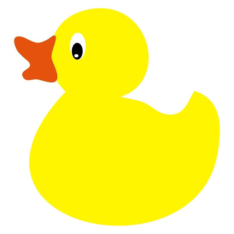 canard