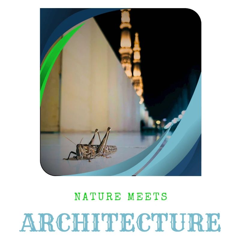 Nature Meets Architecture