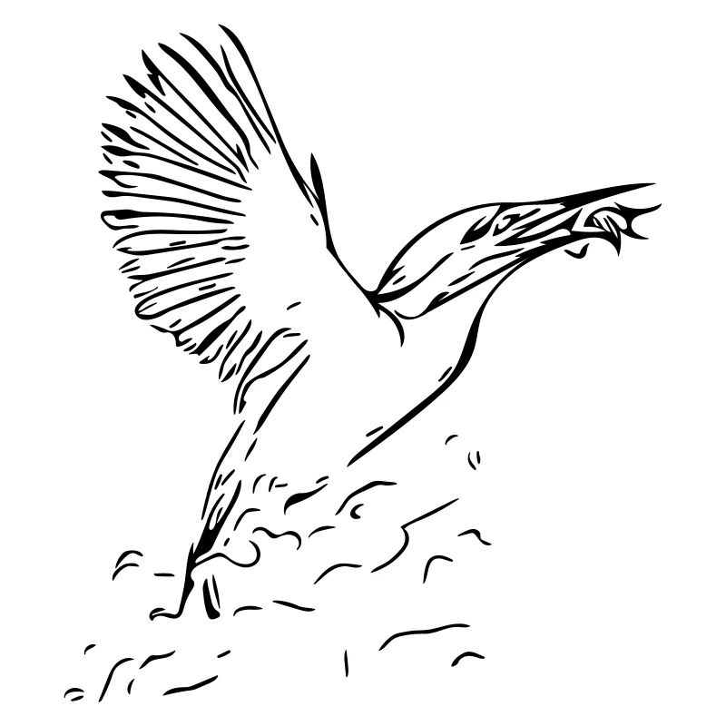 Eisvogel mit Fisch