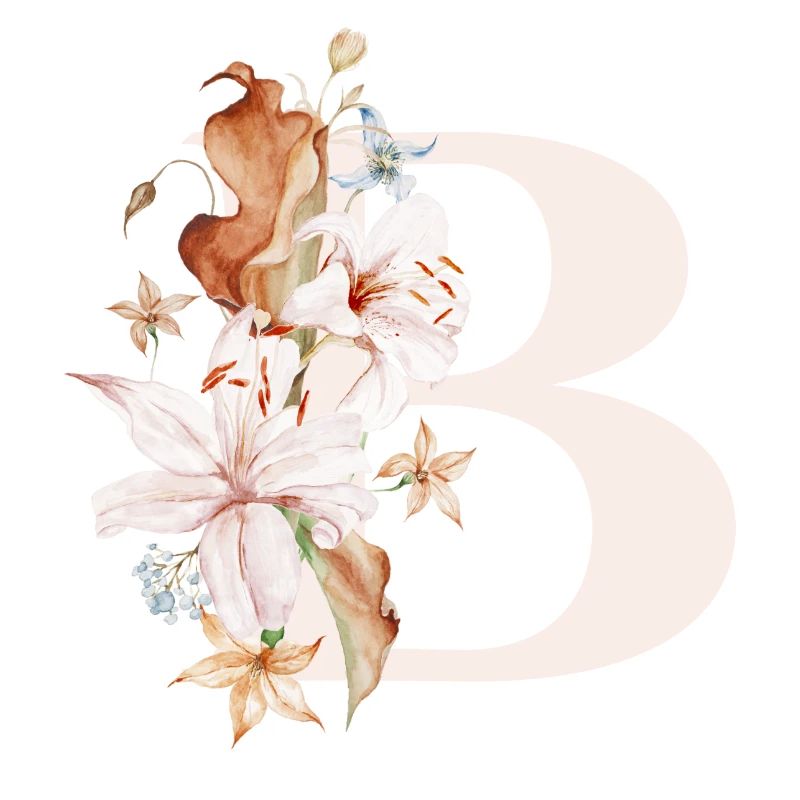 B