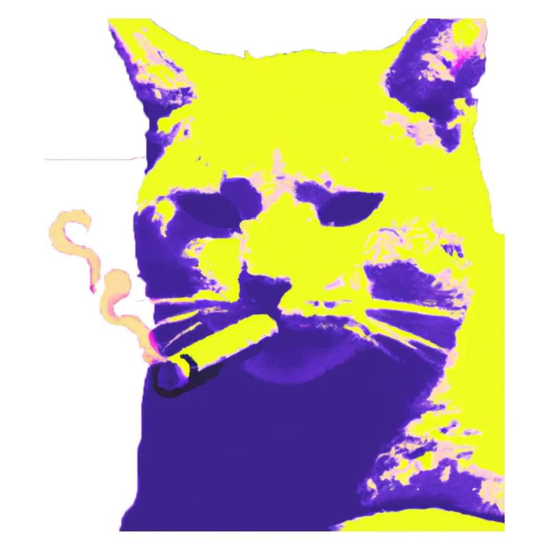 Cat smoking
