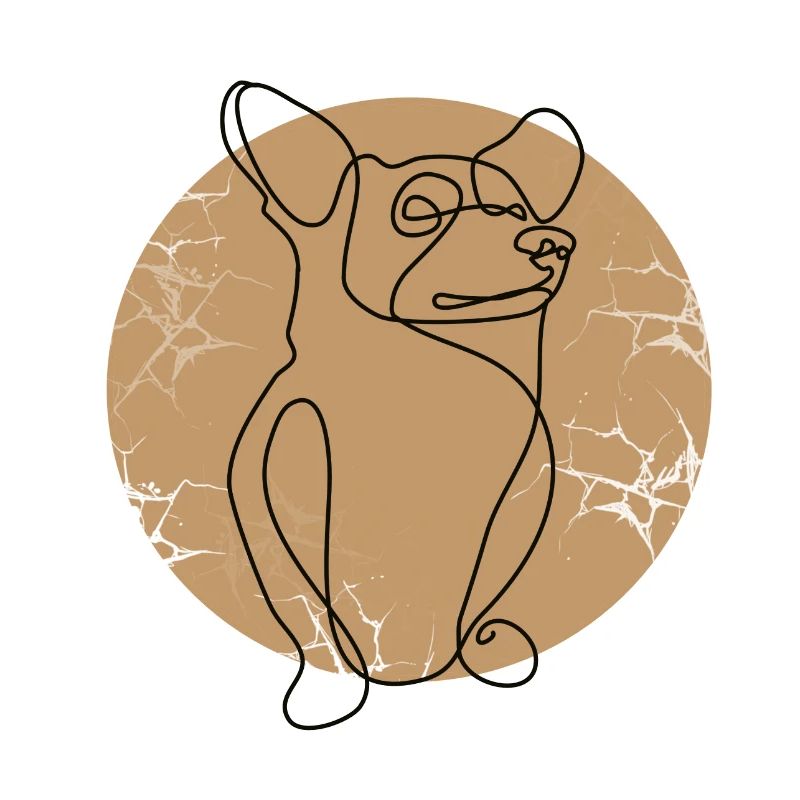CORGI