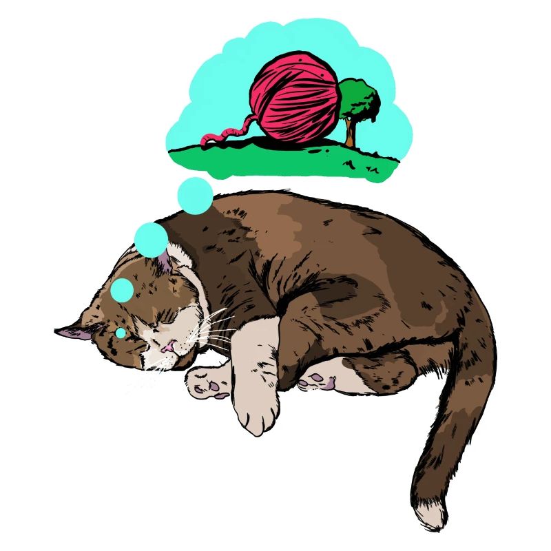 Cat s dream