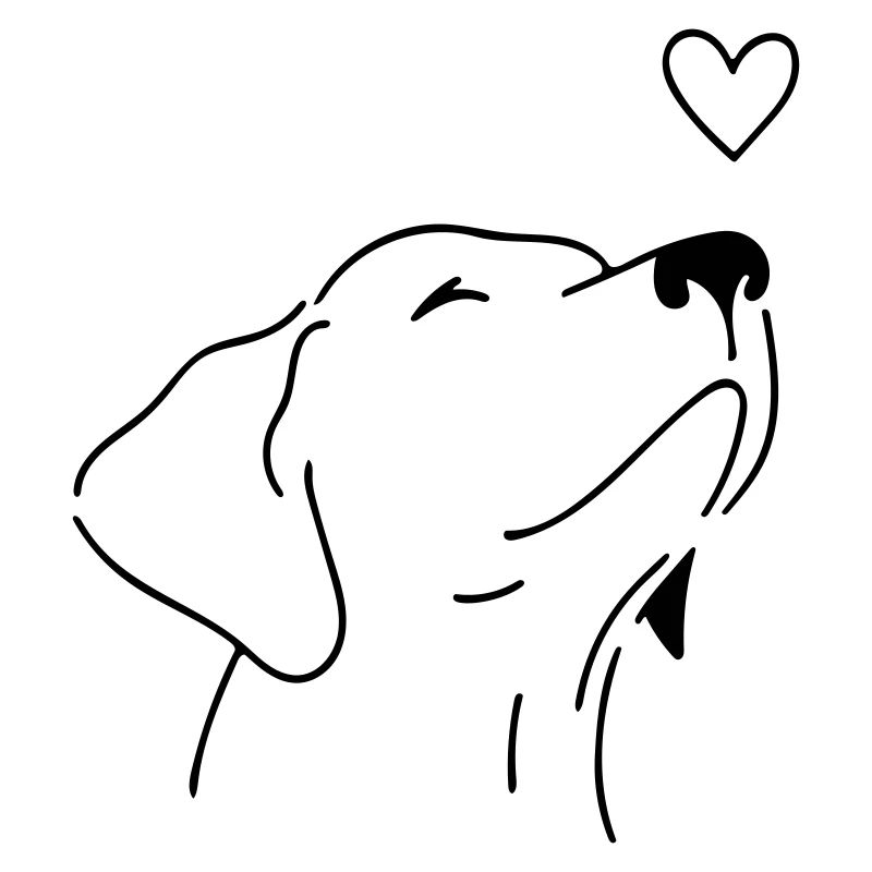 chien
