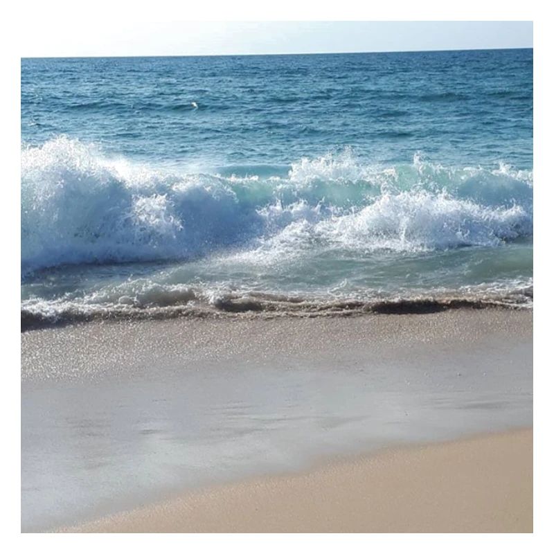 Waves