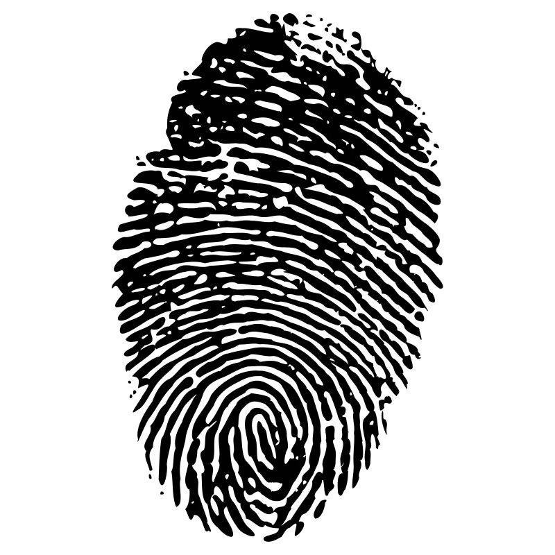 fingerprint plain invert