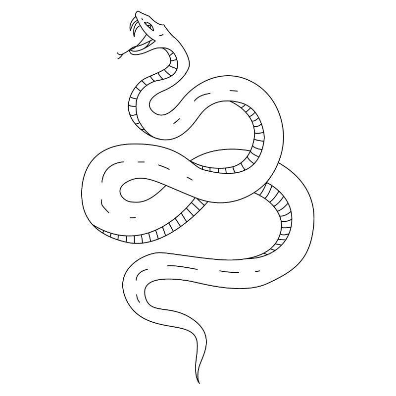 Snake