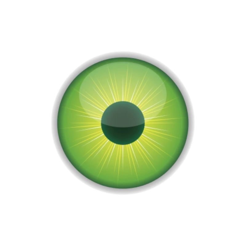 eye
