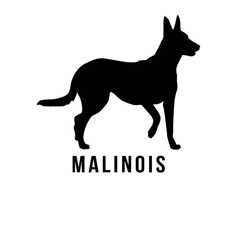 Malinois Schatten