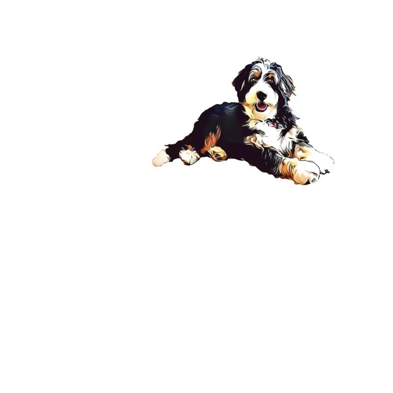 Bernedoodle