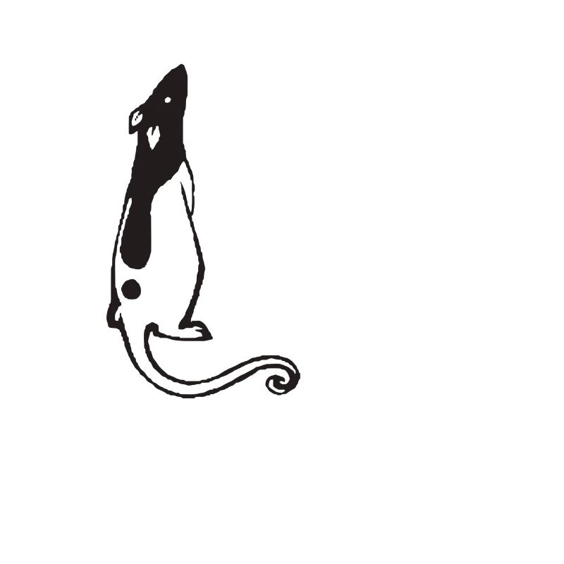Rat de compagnie