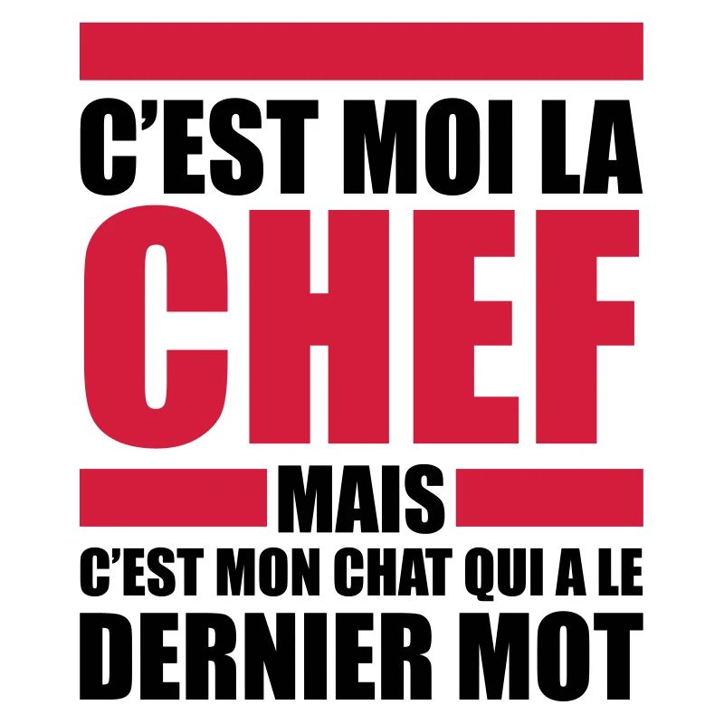 c'est moi le chef mon chat le dernier mot