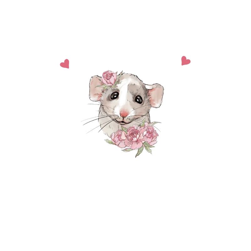 Rat de compagnie