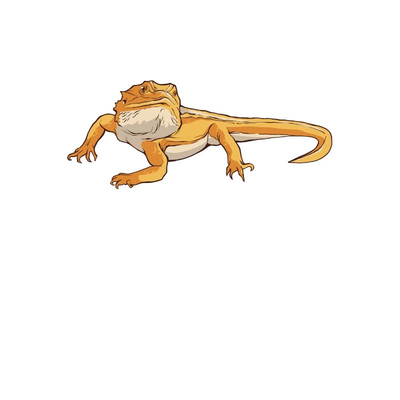 Bartagame Reptile Dwarf bartagame Gift