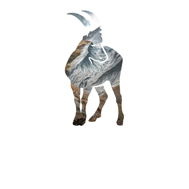 Alpensteinbock Sternzeichen Klettern Berggipfel