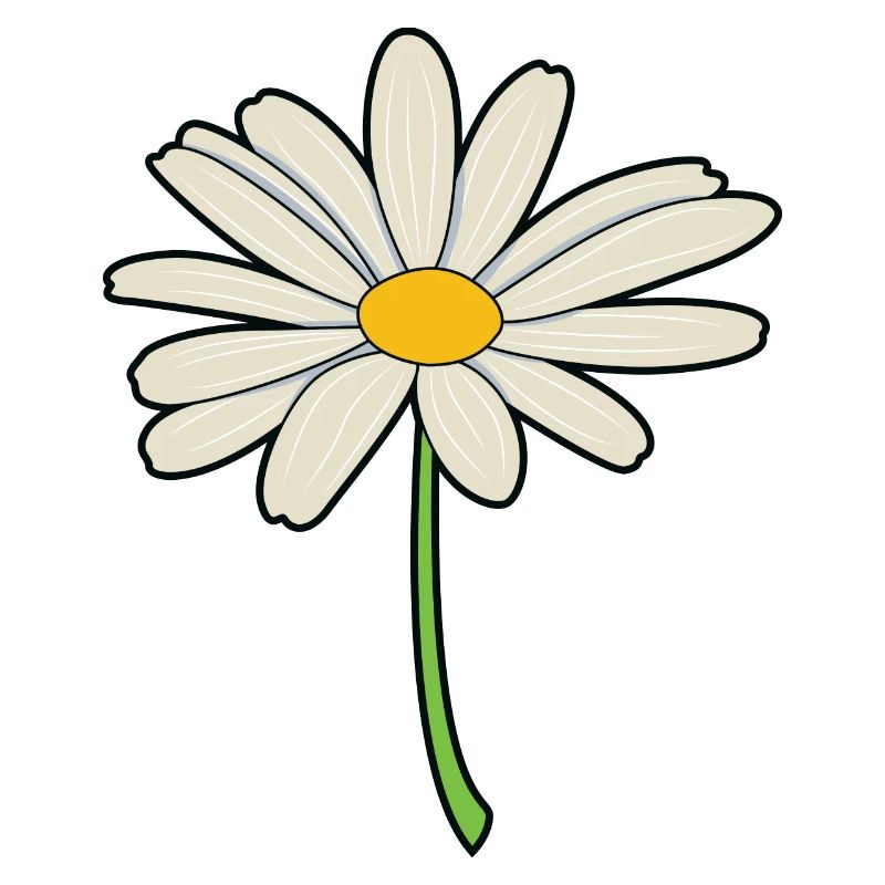 Gänseblümchen