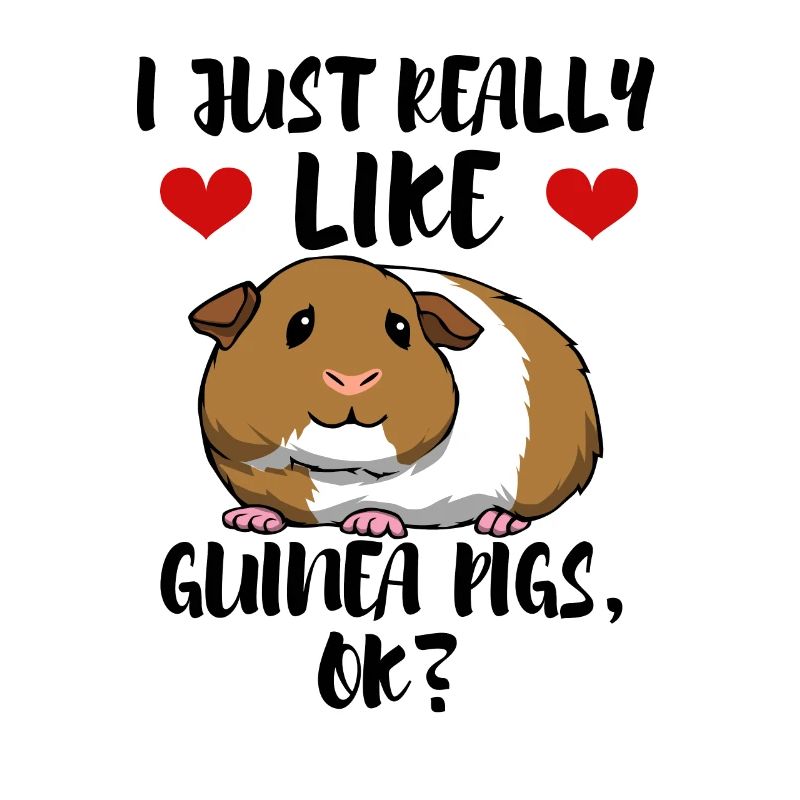 Citations de cochons d'Inde mignons, animaux