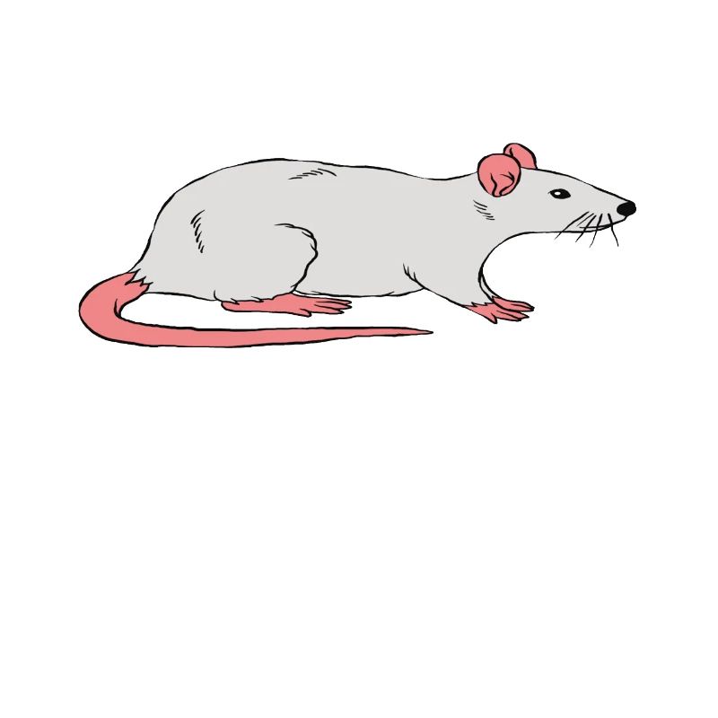 Ich Bin Die Mama-ratte