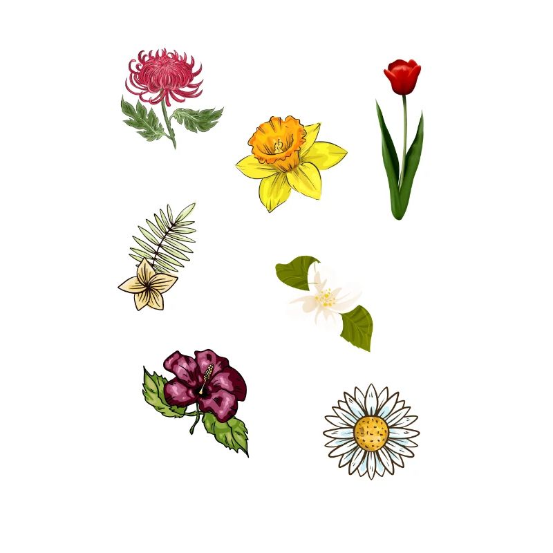 Espèces de fleurs Fleurs