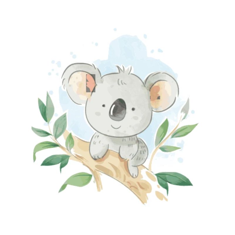 Koala Blue Olivia