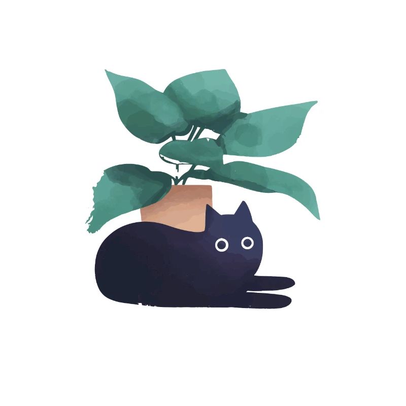 Cats And Plants