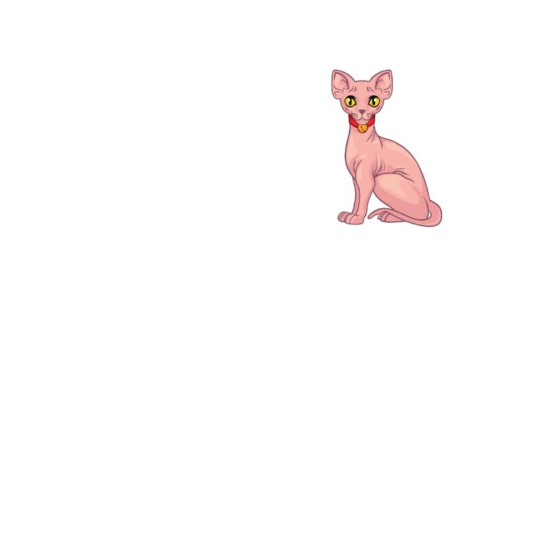 Sphynx Cat 1