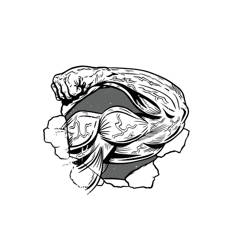 I Got These Muscles Writing Code 5