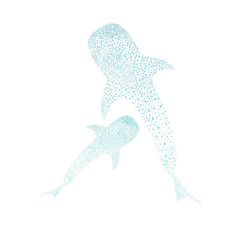 Requin-baleine de Walhai