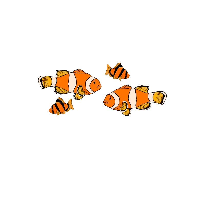 Aquaristics, Fish farming, Aquarists