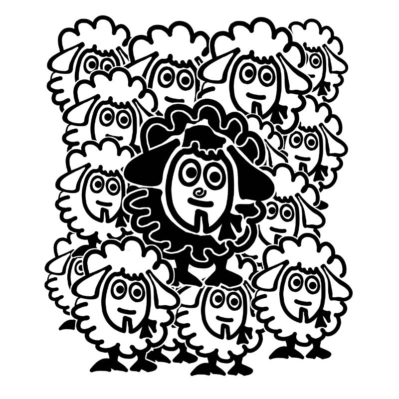 Lots of sheep