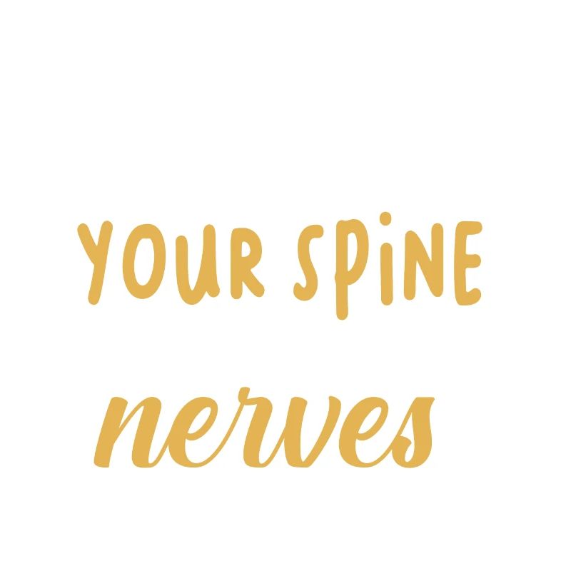 Chiropractor Chiropractic