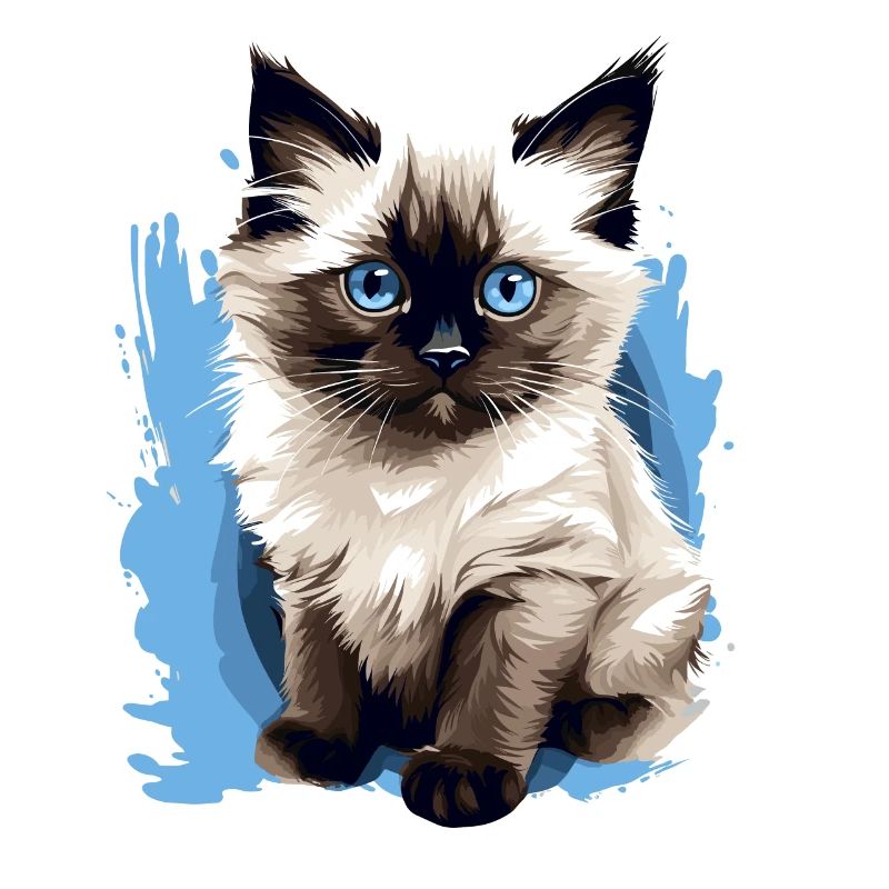 Birman Cat Birma Katze