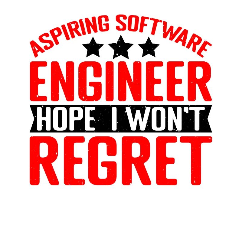 Aspiring Software Engineer, Hope I Won't Regret 2