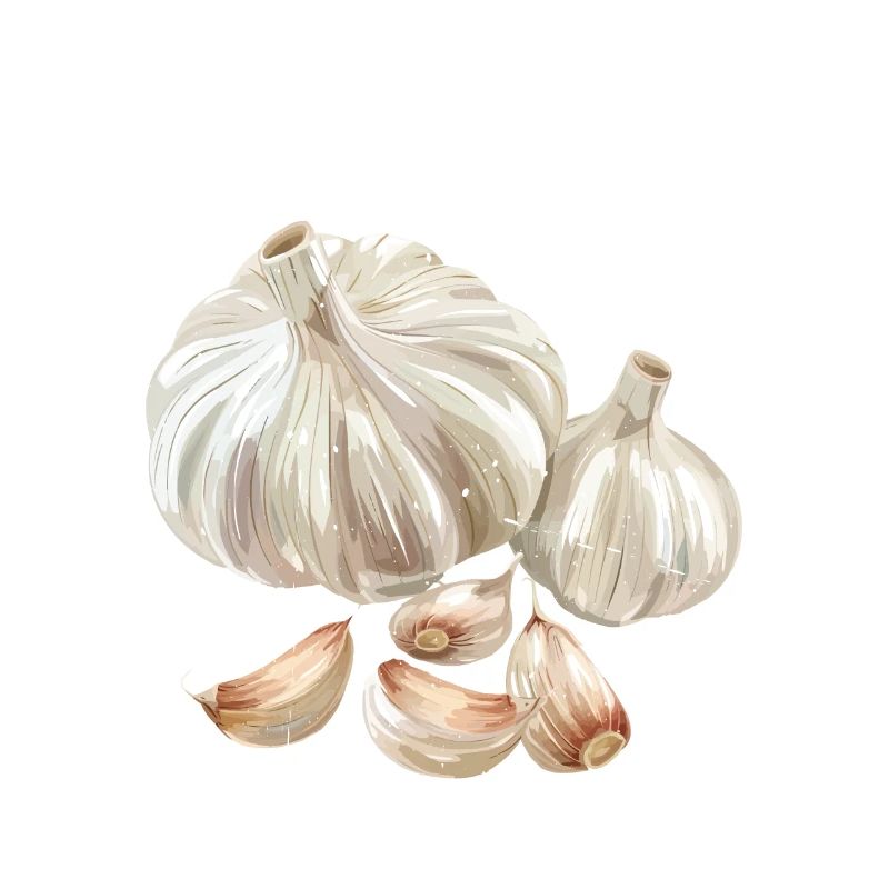 Garlic Makes Everything Better 21