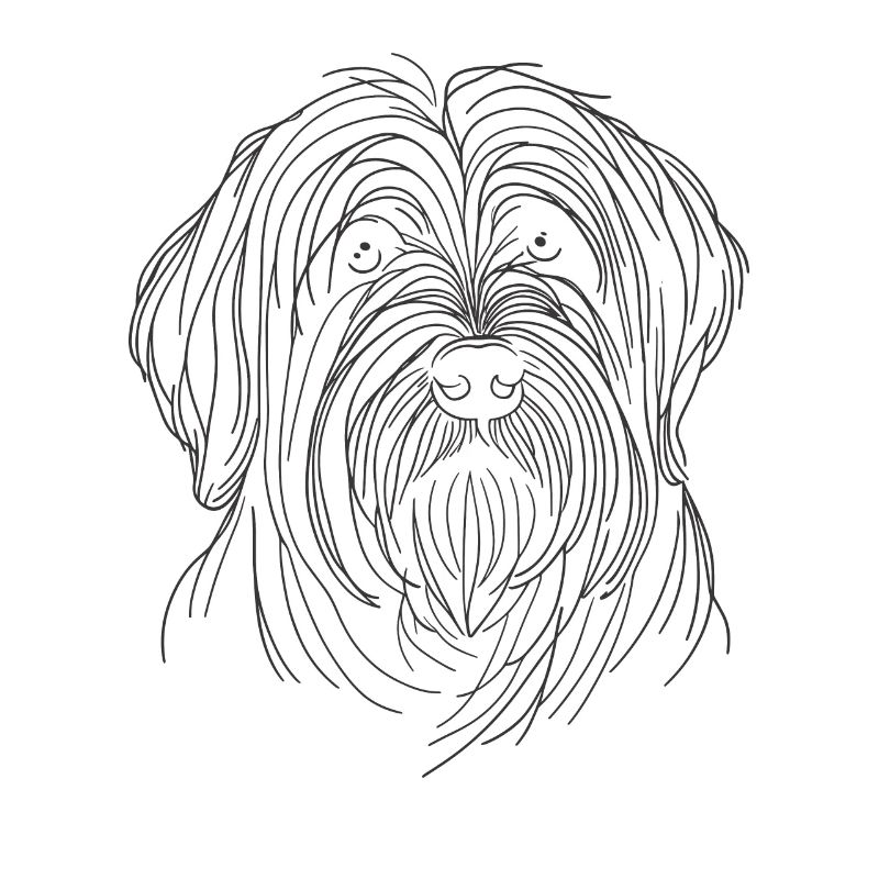 Line Art Briard Briards