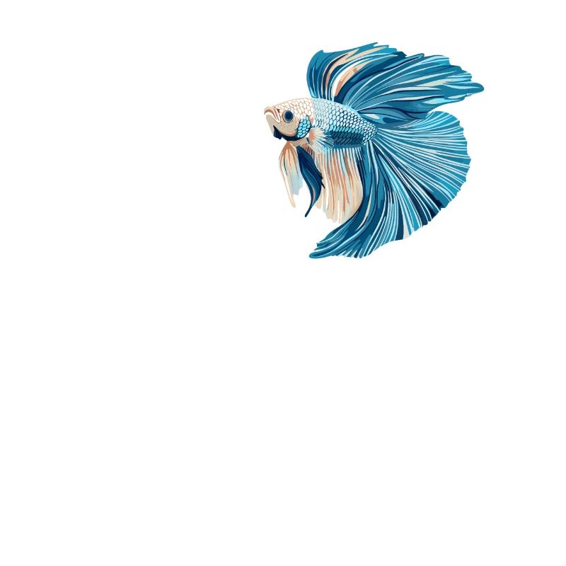 Bettas Betta Poisson Betta
