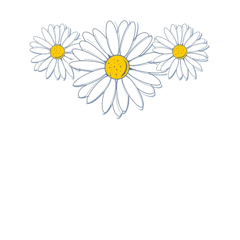 Schöne Gänseblümchenblüte Belle fleur de marguerite