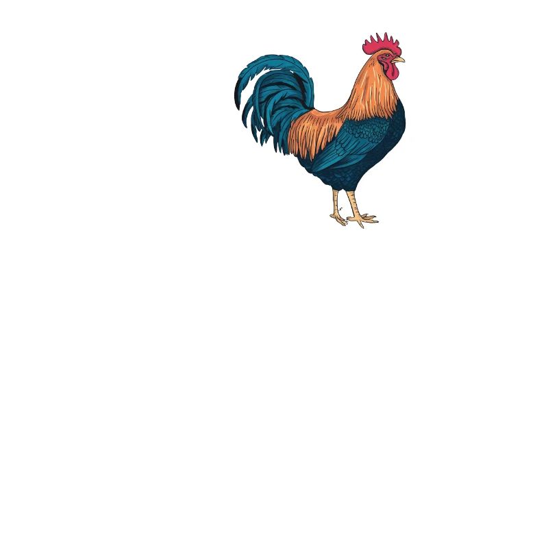 Fier passionné de coq avec de l’expérience