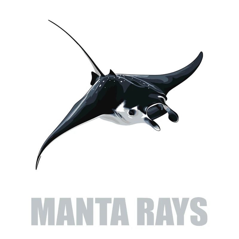 Mantas Manta Rochen