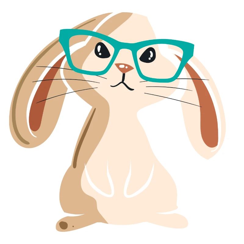 Funny Rabbit With Glasses Cute Rabbit Lover Gift
