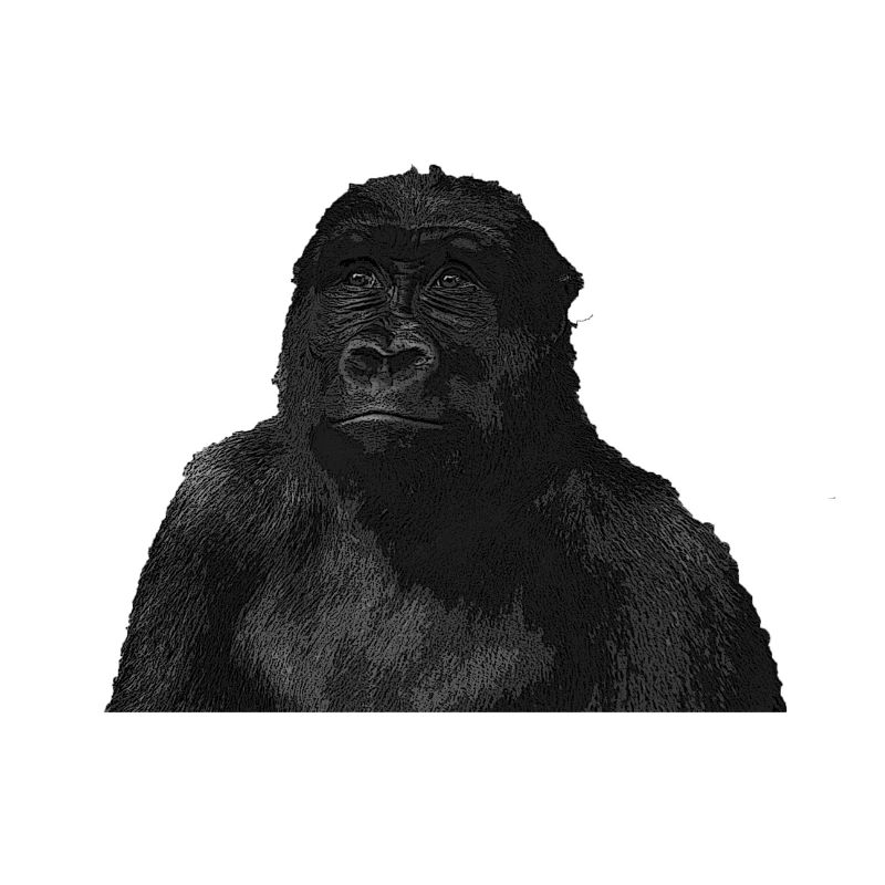 Affe