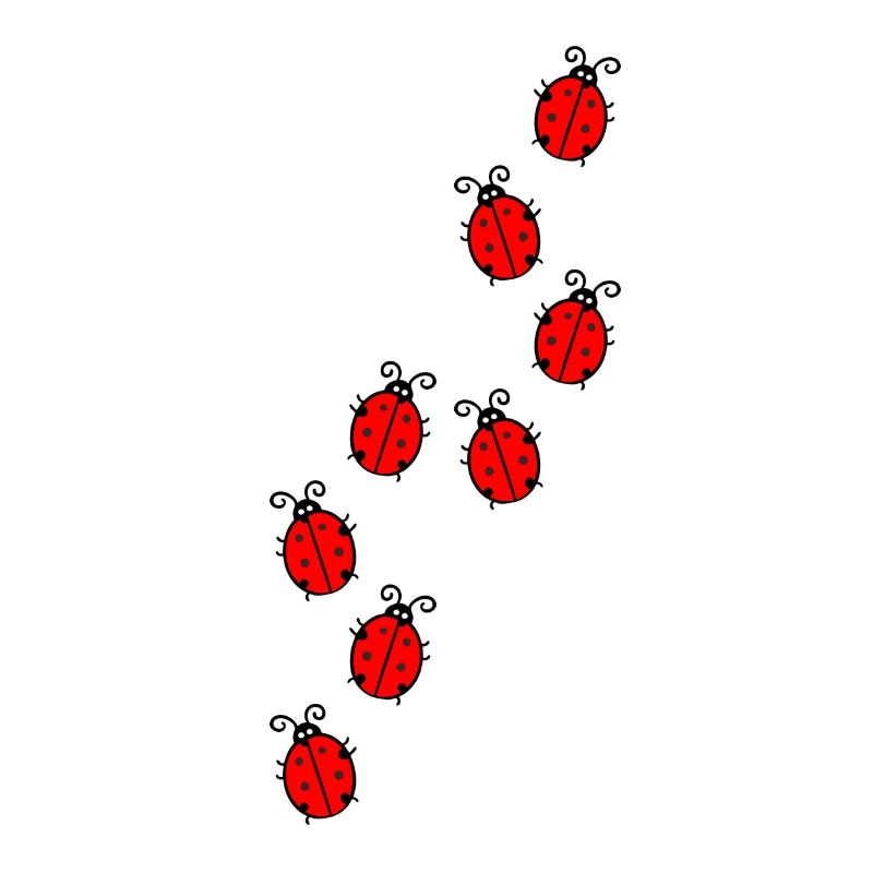 Ladybug