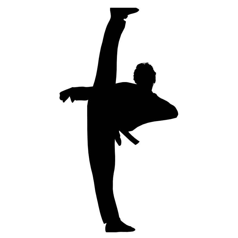 High Kick von Taekwondo oder Karate Schattenfigur